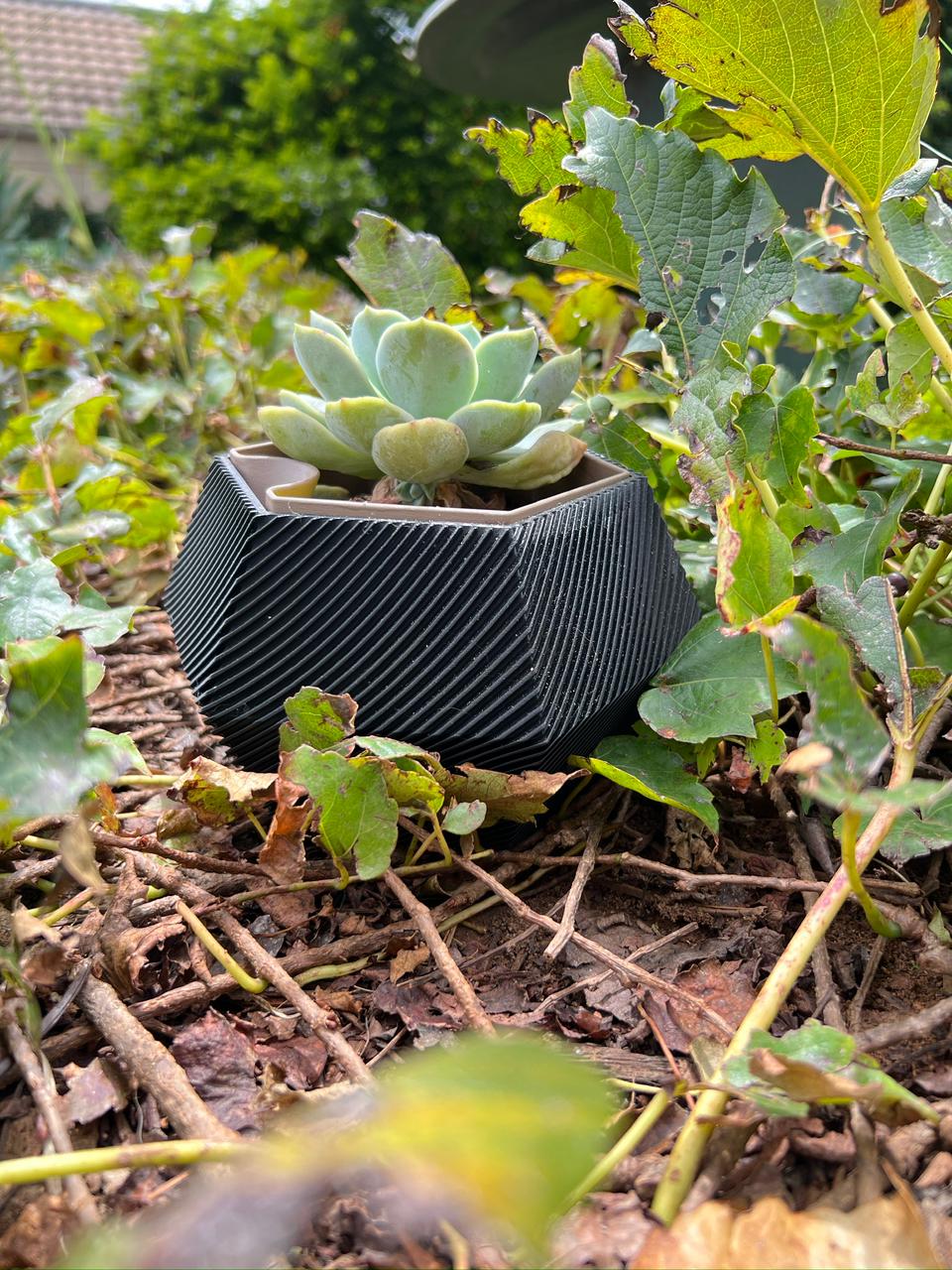 Hex Self Watering Pot Plant