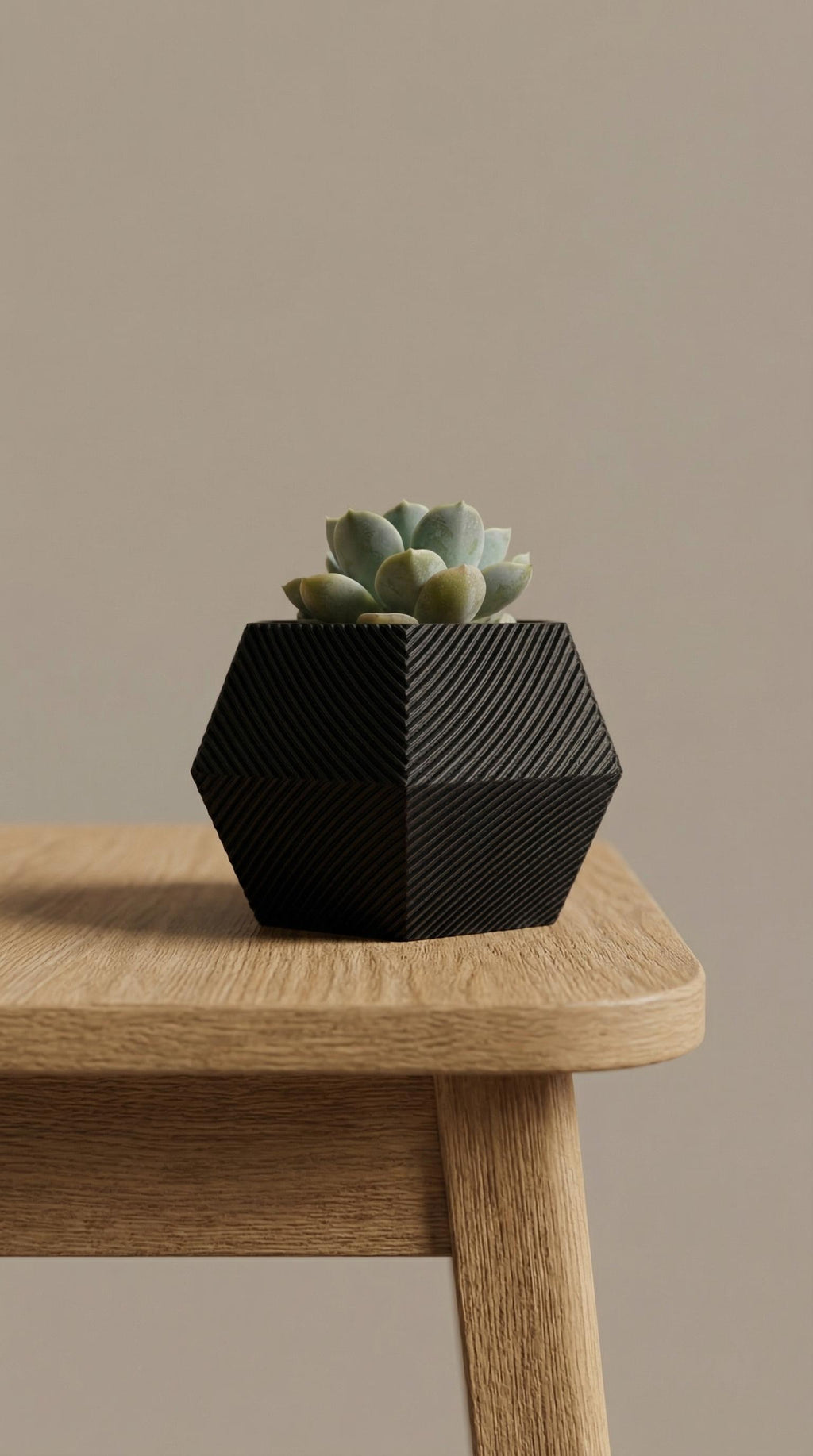 Hex Self Watering Pot Plant