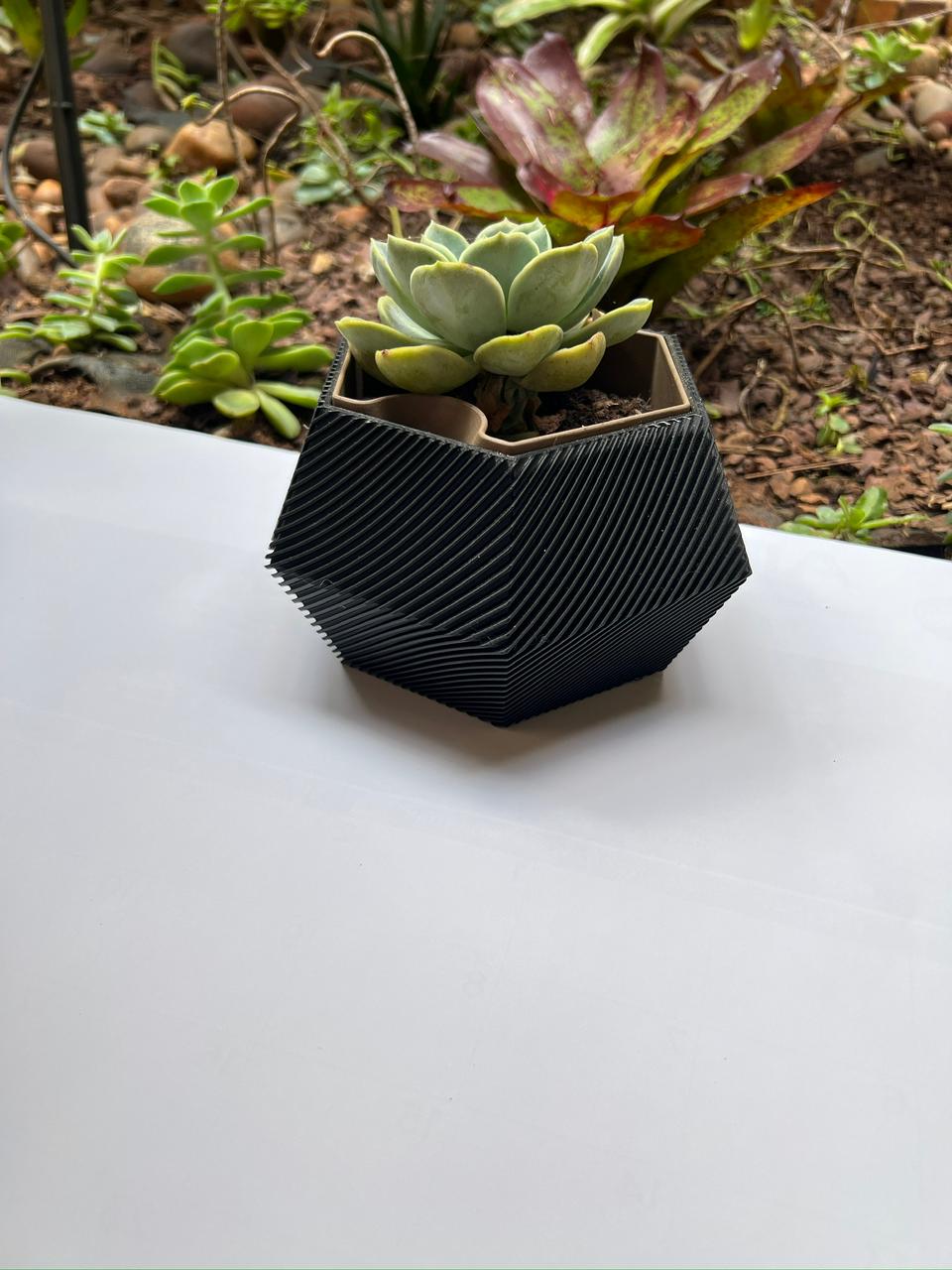 Hex Self Watering Pot Plant