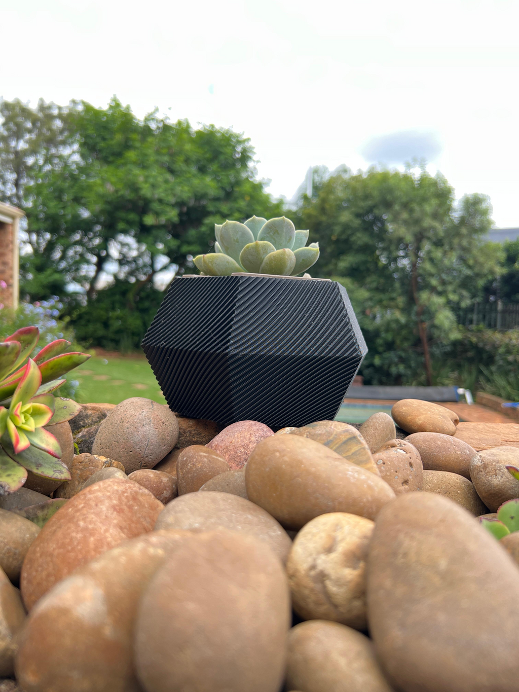 Hex Self Watering Pot Plant