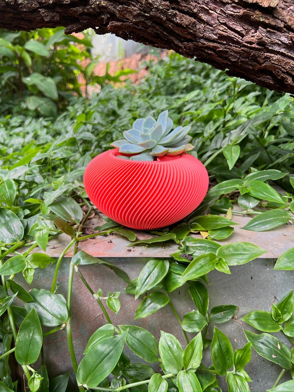 Orbital Self Watering Pot Plant