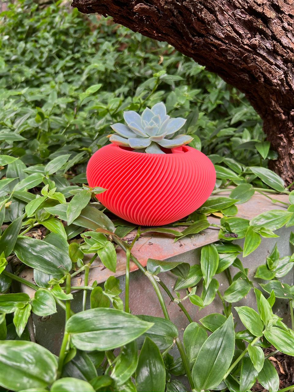 Orbital Self Watering Pot Plant