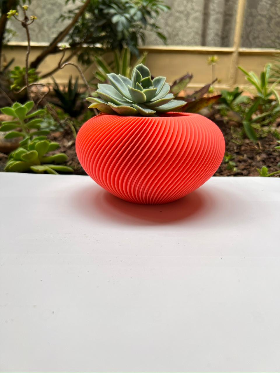 Orbital Self Watering Pot Plant