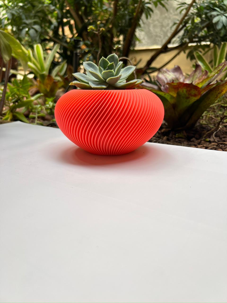 Orbital Self Watering Pot Plant