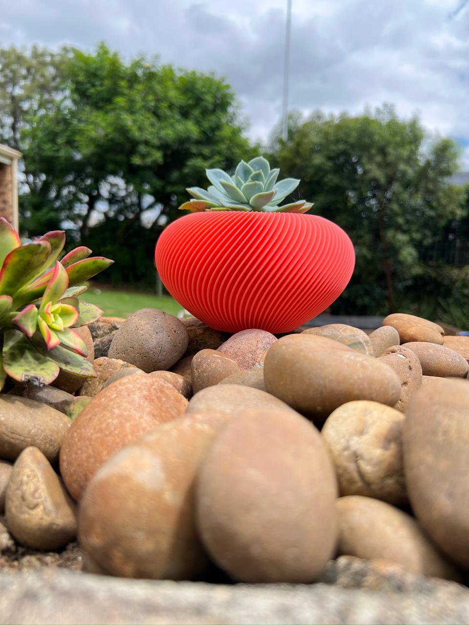 Orbital Self Watering Pot Plant